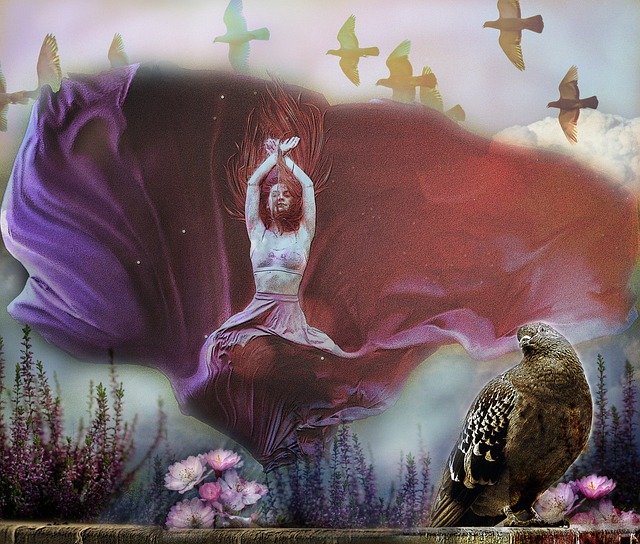 样的明星却 样的明星却