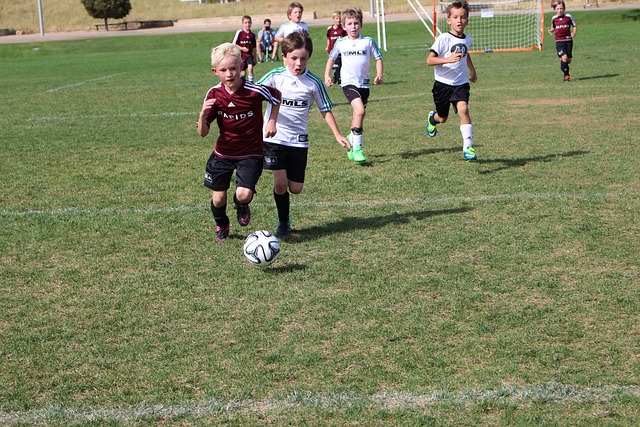 更是全社会 更是全社会