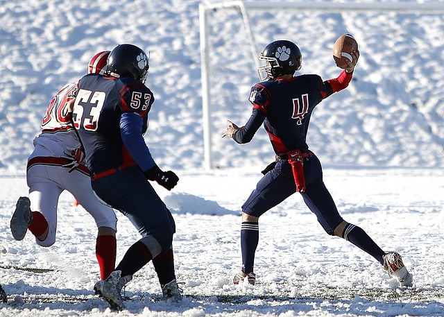 部发生了其 部发生了其