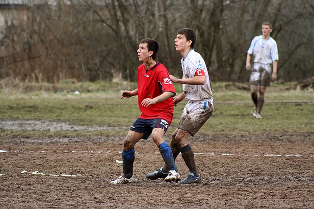 的情感是真 的情感是真